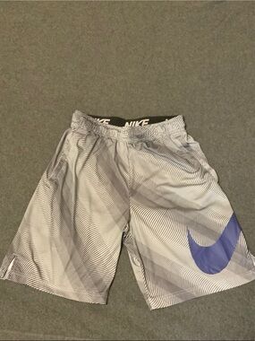 Nike Dri-Fit Men’s Athletic Training Shorts Grey Small